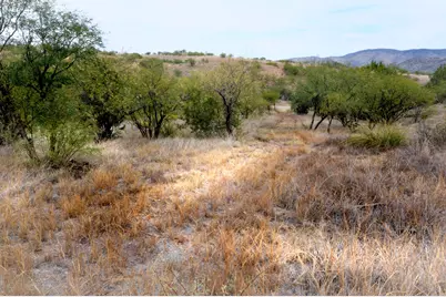 Tanglehead Lane #Lot 19, Patagonia, AZ 85624 - Photo 1