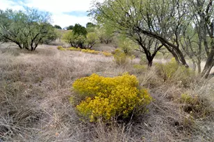 Tanglehead Ln, Patagonia, AZ 85624 - Photo 1