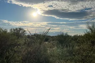 15966 W Phillips Rd, Tucson, AZ 85736 - Photo 1