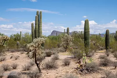 11690 W Rudasill Road #0, Tucson, AZ 85743 - Photo 1