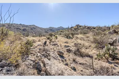 3821 W Cayton Mountain Drive #162, Marana, AZ 85658 - Photo 1