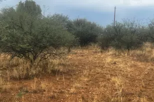 1442 Circulo Silva, Rio Rico, AZ 85648 - Photo 1