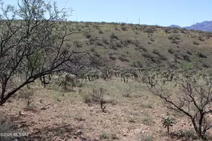 346 Anfibio Ct, Rio Rico, AZ 85648 - Photo 1