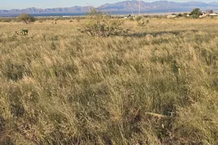 Tbd 1 Acre W Knox St, Pearce, AZ 85625 - Photo 1