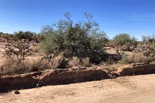 15641&671 W Guy St, Tucson, AZ 85736 - Photo 1