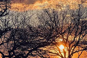 8984 S Placita Gama, Vail, AZ 85641 - Photo 1