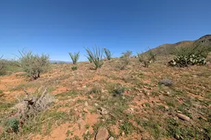 384 Esponja Ct, Rio Rico, AZ 85648 - Photo 1