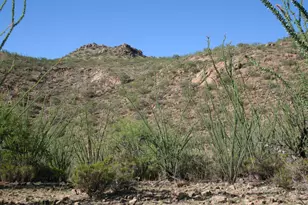 37 Copper Canyon Road, Tubac, AZ 85646 - Photo 1