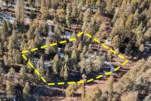 9 County Rd 2073, Alpine, AZ 85920 - Photo 1