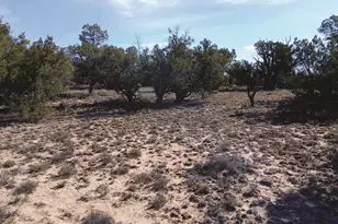 8 98 Acres N7407, Sanders, AZ 86512 - Photo 1