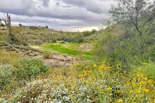 300 N Elizabeth St, Queen Valley, AZ 85118 - Photo 1