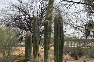 11380 W Valencia Rd, Tucson, AZ 85735 - Photo 1