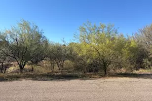 412 Wrightson St, Rio Rico, AZ 85648 - Photo 1