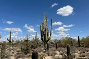 5020 W Lambert Ln, Tucson, AZ 85742 - Photo 1