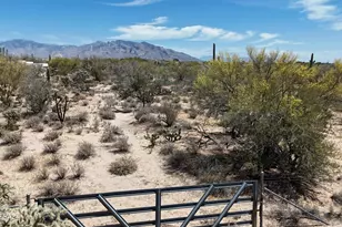9888 N Carolanne Dr, Tucson, AZ 85742 - Photo 1