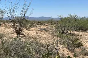 13531 Eola Pl, Tucson, AZ 85736 - Photo 1