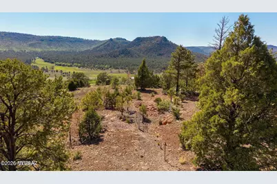 N2280 #47, Nutrioso, AZ 85932 - Photo 1
