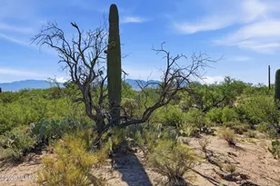 12680 N Caminito Al Sol, Tucson, AZ 85755 - Photo 1