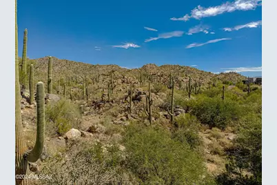 1173 W Tortolita Mountain Circle #182, Oro Valley, AZ 85755 - Photo 1