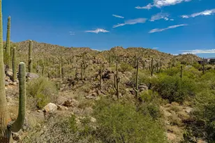 1173 W Tortolita Mountain Circle, Oro Valley, AZ 85755 - Photo 1