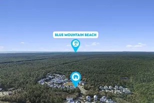 217 Melrose Ave, Santa Rosa Beach, FL 32459 - Photo 42