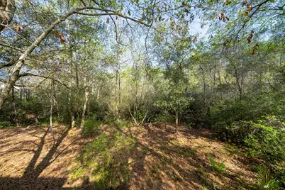 217 Melrose Avenue, Santa Rosa Beach, FL 32459 - Photo 32