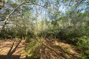 217 Melrose Ave, Santa Rosa Beach, FL 32459 - Photo 32