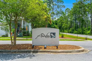 217 Melrose Ave, Santa Rosa Beach, FL 32459 - Photo 34