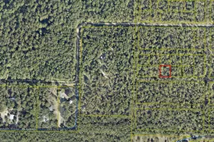 Tbd N Named Rd, Defuniak Springs, FL 32433 - Photo 1