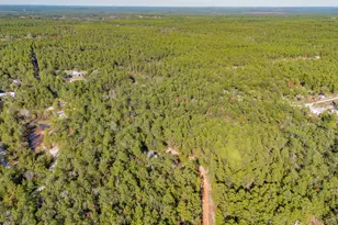 169 White Rd, Defuniak Springs, FL 32433 - Photo 18