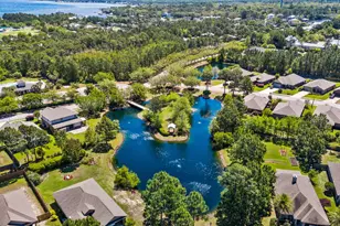 377 Cocobolo Dr, Santa Rosa Beach, FL 32459 - Photo 64