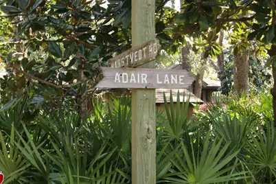 Lot 9 Adair, Santa Rosa Beach, FL 32459 - Photo 34