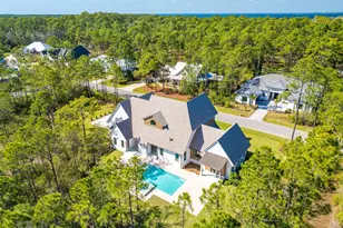 159 Seclusion Way, Santa Rosa Beach, FL 32459 - Photo 4