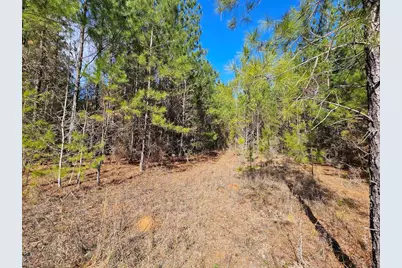 00 C B Whitehead Road, Ponce de Leon, FL 32455 - Photo 8