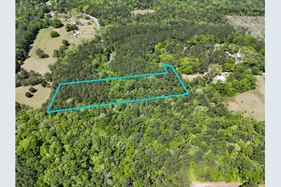 Xx S County Hwy 183, Ponce de Leon, FL 32455 - Photo 6