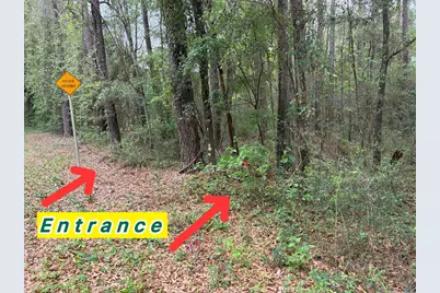 Xx S County Hwy 183, Ponce de Leon, FL 32455 - Photo 2