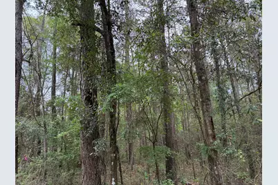 Xx S County Hwy 183, Ponce de Leon, FL 32455 - Photo 16