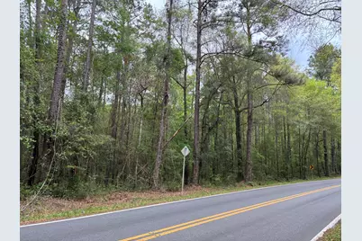 Xx S County Hwy 183, Ponce de Leon, FL 32455 - Photo 12
