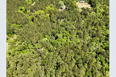 Xx S County Hwy 183, Ponce de Leon, FL 32455 - Photo 10