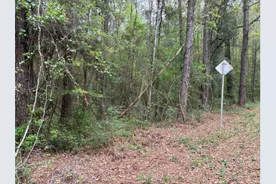 Xx S County Hwy 183, Ponce de Leon, FL 32455 - Photo 18