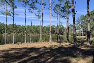 209 Santa Barbara Ave, Santa Rosa Beach, FL 32459 - Photo 78