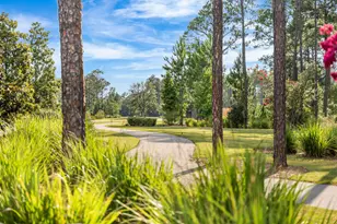 112 E Captain Fritz Wy, Freeport, FL 32439 - Photo 70
