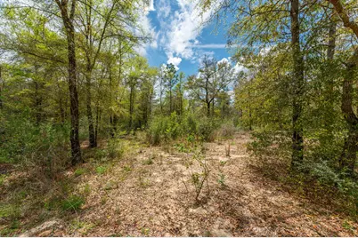Na Womack Road #Lots 1-50, Crestview, FL 32539 - Photo 22