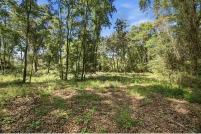 Tbd Hilton Trail, Baker, FL 32531 - Photo 10