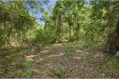 Tbd Hilton Trail, Baker, FL 32531 - Photo 8