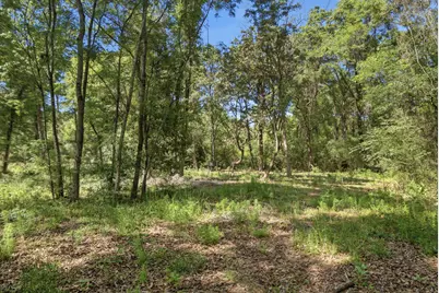 Tbd Hilton Trail, Baker, FL 32531 - Photo 12