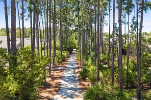 27 Somersault Lane, Inlet Beach, FL 32461 - Photo 38