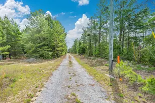 7765 S US Hwy 331, Defuniak Springs, FL 32435 - Photo 18