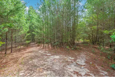 7765 S US Highway 331, Defuniak Springs, FL 32435 - Photo 16