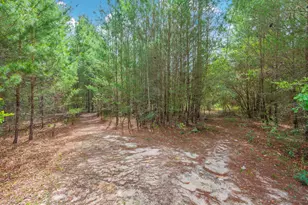 7765 S US Hwy 331, Defuniak Springs, FL 32435 - Photo 16